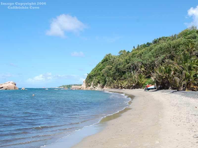 Готель Calibishie Cove Зручності фото