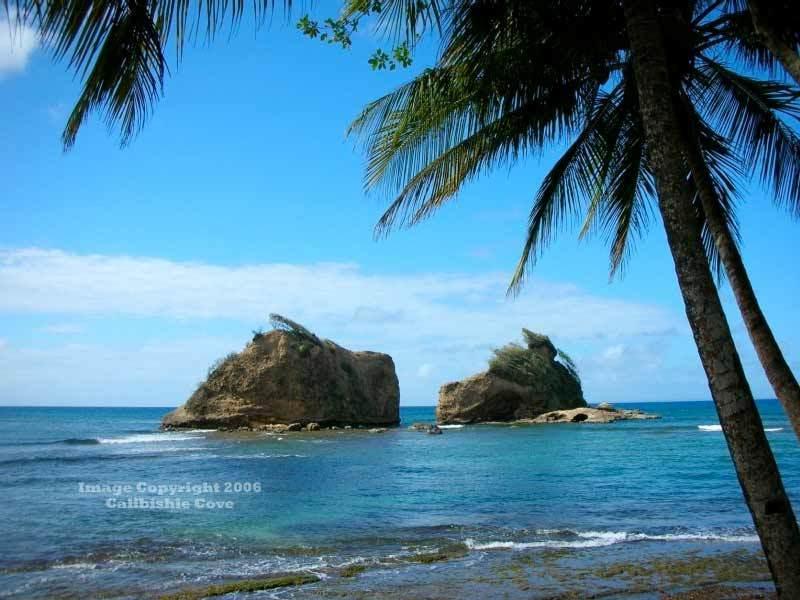 Готель Calibishie Cove Екстер'єр фото